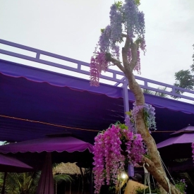 Mái Xếp Quận Phú nhuận 