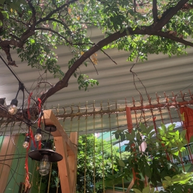 Mái xếp di động 124 hậu Giang Quận 6